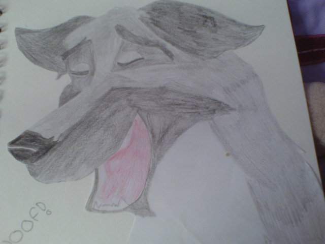 Balto-style Archie