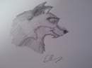 Balto