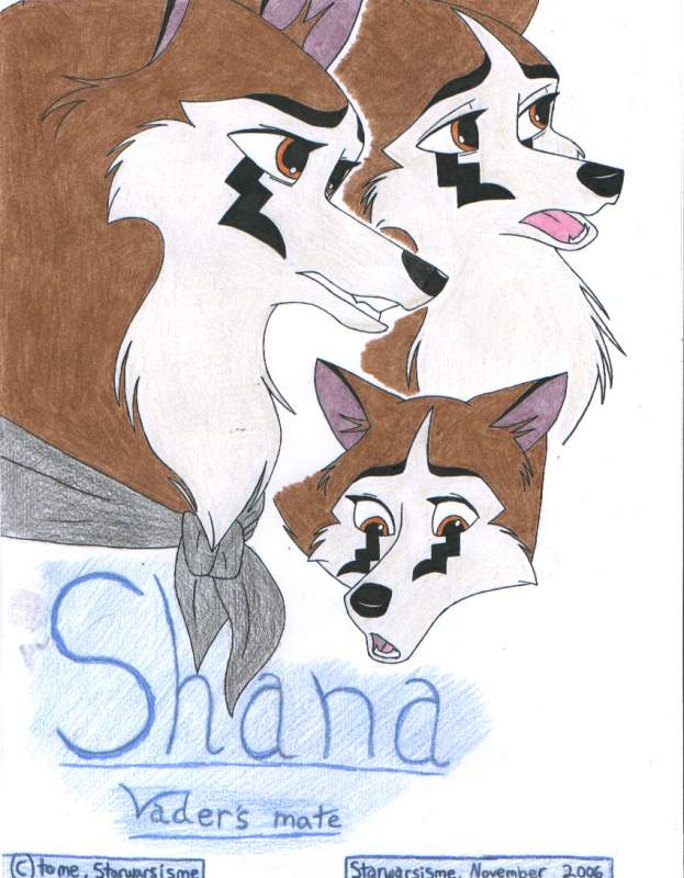 Shana Tutorial