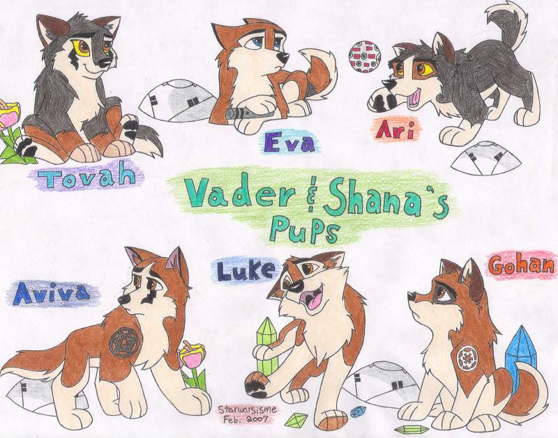 Vader & Shana's pups