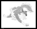 Balto portrait
