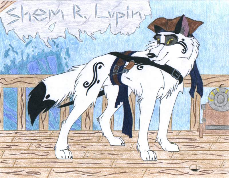 My Pirate Character