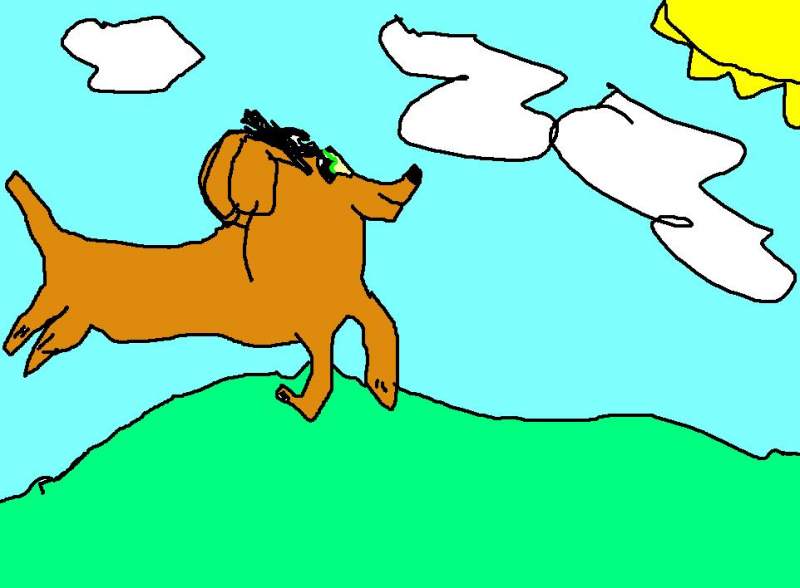Doggie named Auzzie