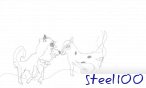 steel100