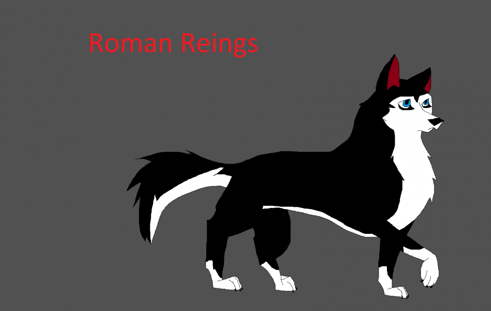 New character, Roman reings