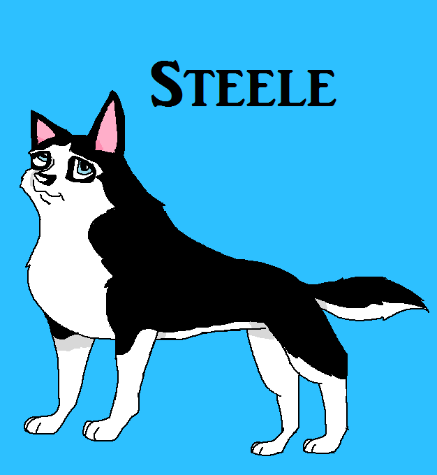 Steele as a puppy