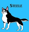 Steele as a puppy