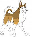 Kaltag redesign