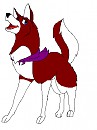 Nickita - Starfire