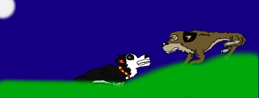 Balto vs Steele