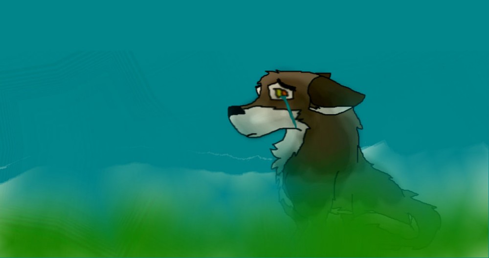 Balto in a storm