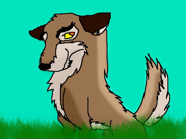 Balto drawing