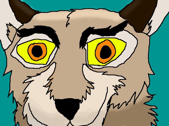 Balto's face