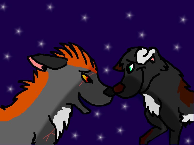 Out in the stars