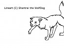 Border Collie Lineart