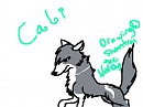 Cali theee....AWESOME CHAR!!!