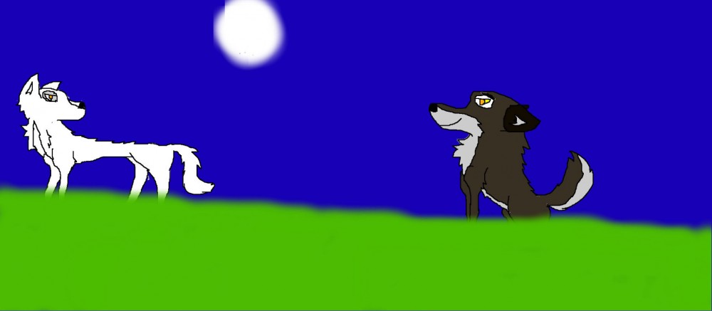Aniu & Balto