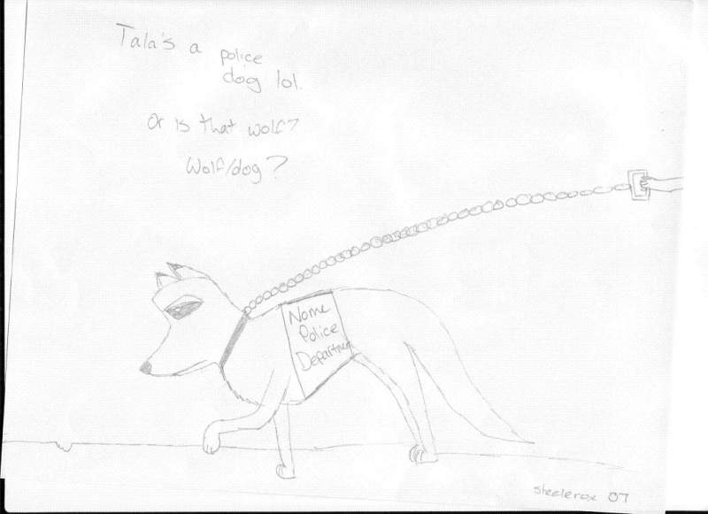 Tala as a Police dog