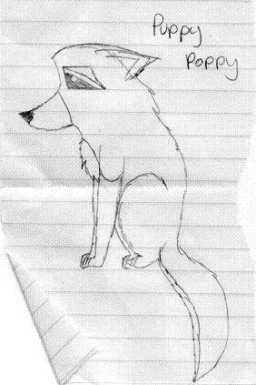 Poppy the Puppy