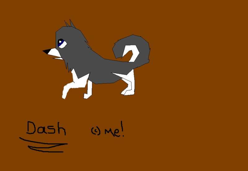 Dash