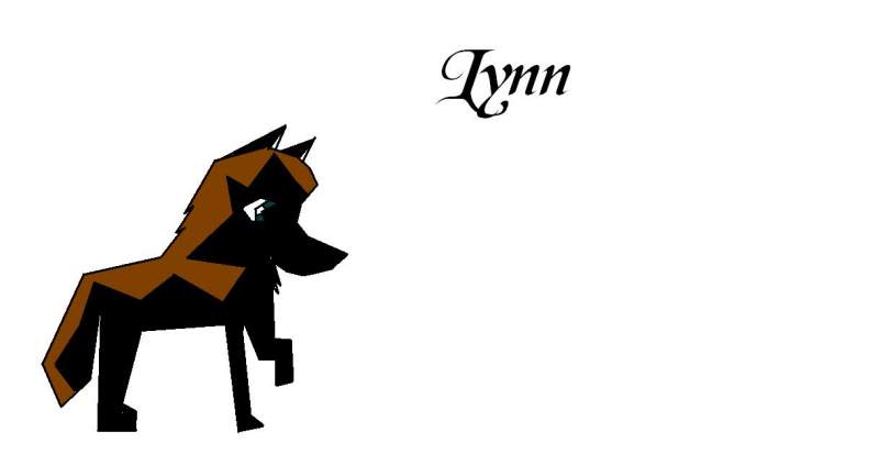Lynn