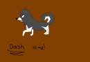 Dash