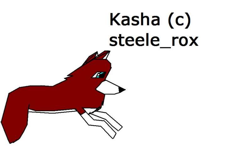Kasha