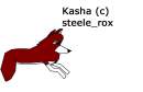 Kasha