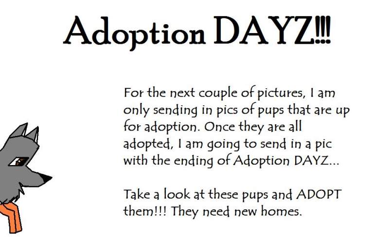 Adoption DAYZ