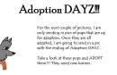 Adoption DAYZ