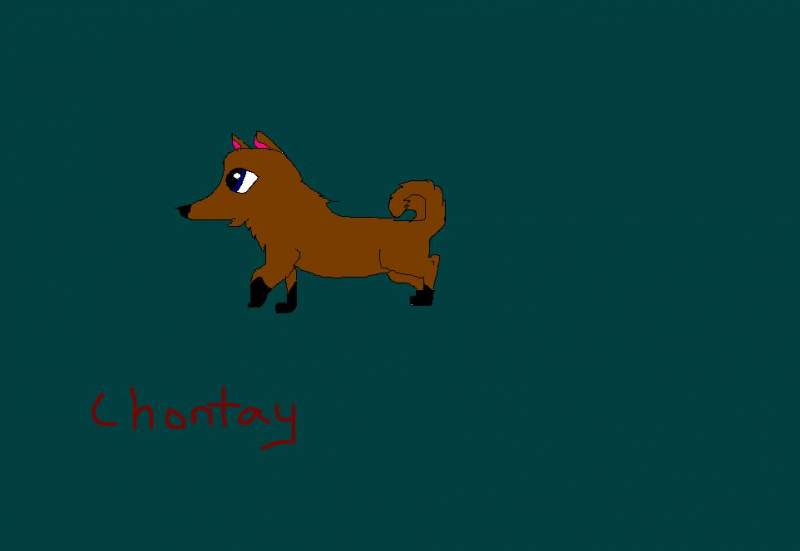Chontay