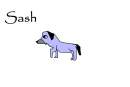 Sash