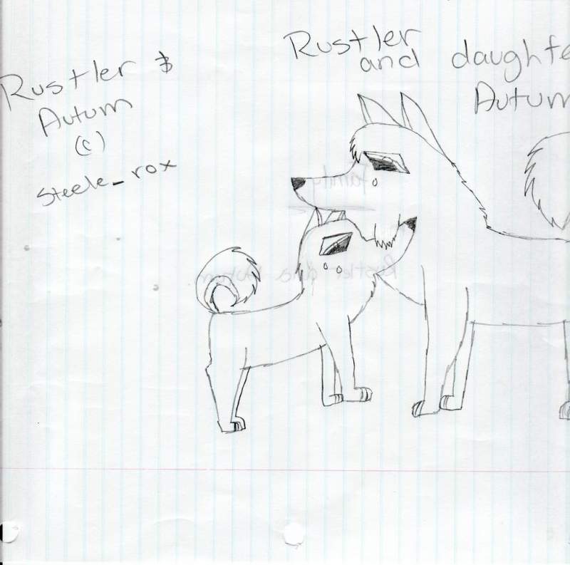 Rustler Autumn