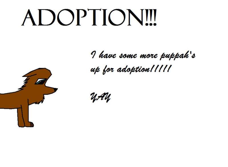 Adoption