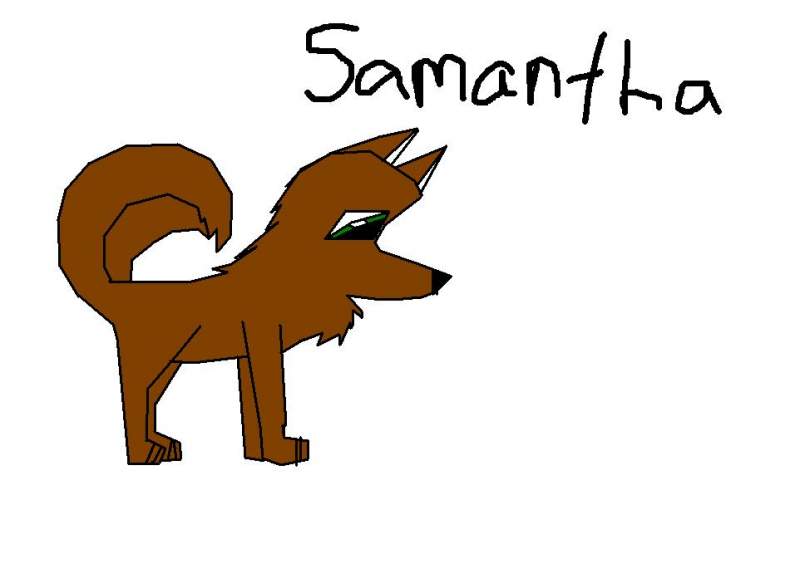 Adoption Puppah