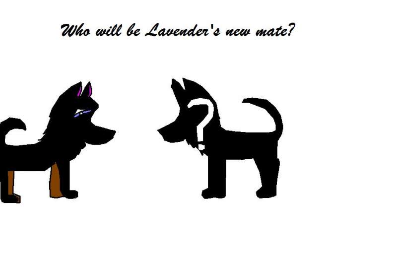 contest