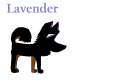 Lavender