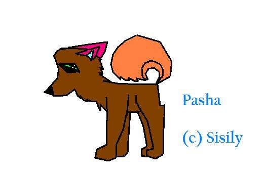 Pasha