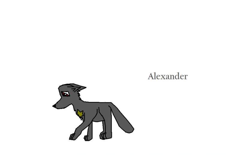 Puppy Alexander