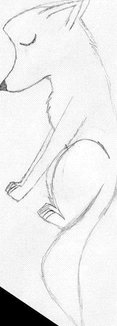 Random Wolf