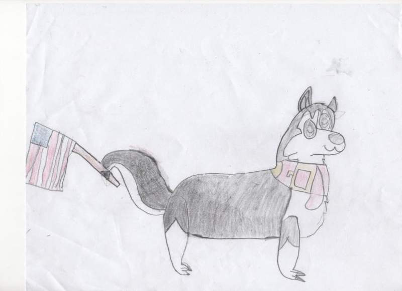 Steele wags a flag in his tail