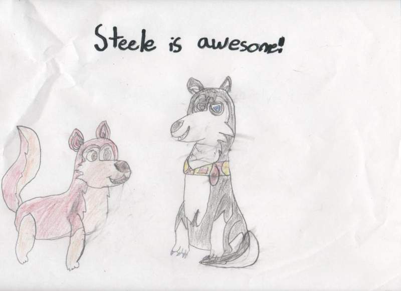 Steele is awesome!
