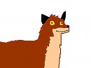 Balto