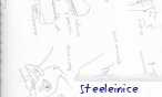 steeleinice