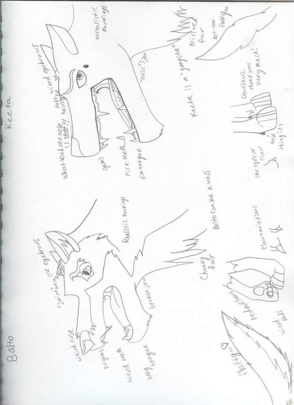 Balto's Comparison to Keeta