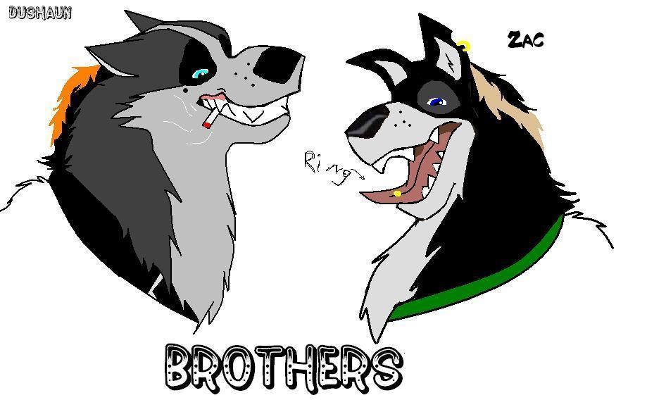 BROS