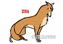 zira