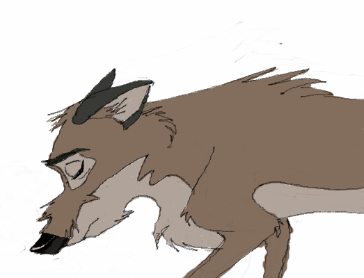 Balto Sketch