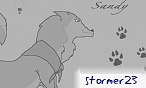stormer23
