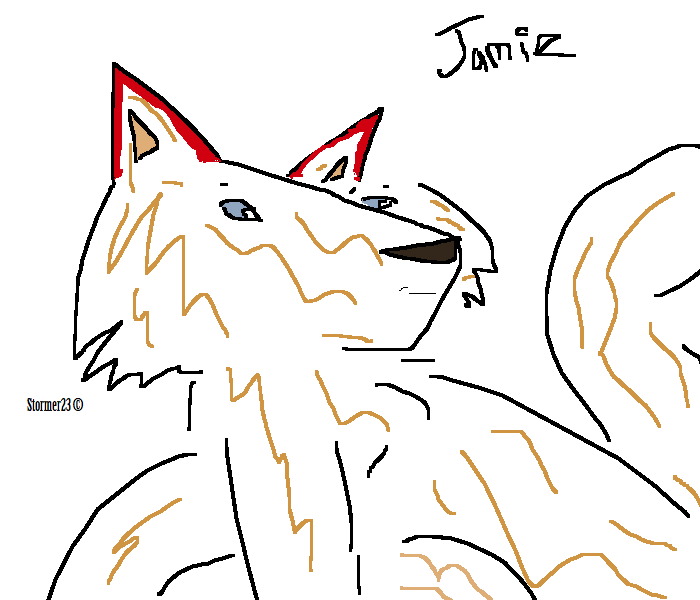 Jamie's contest pic